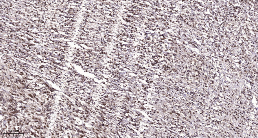 A0529