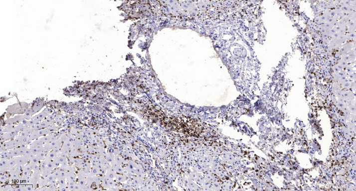 L0469