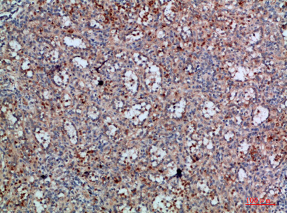 C30327