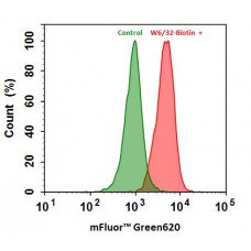 Fluorescent Green 620-streptavidin conjugate