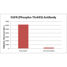 EGFR (Phospho-Thr693) Fluorometric Cell-Based ELISA Kit