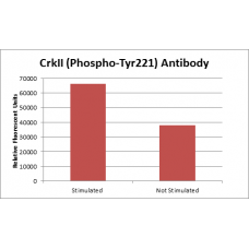 CrkII (Phospho-Tyr221) Fluorometric Cell-Based ELISA Kit