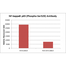 NF-kB p65 (Phospho-Ser529) Fluorometric Cell-Based ELISA Kit