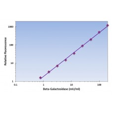 Beta-Galactosidase Assay Kit - Fluorometric