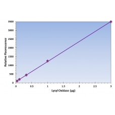 Lysyl Oxidase Asay Kit - Fluorometric