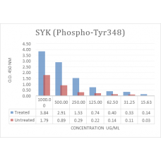 SYK (Phospho-Tyr348) Phospho Sandwich ELISA Kit