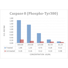 Caspase 8 (Phospho-Tyr380) Phospho Sandwich ELISA Kit