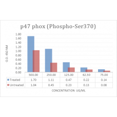 p47 phox (Phospho-Ser370) Phospho Sandwich ELISA Kit
